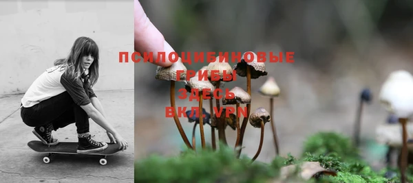 бошки Беломорск