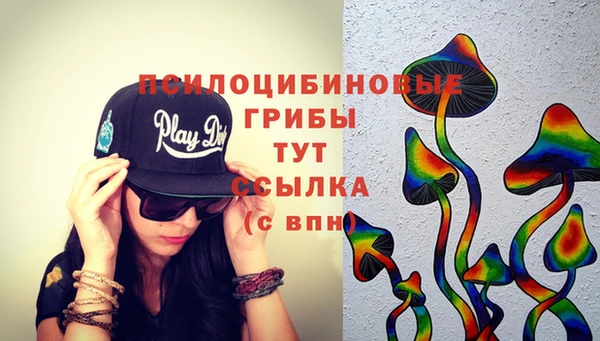 МДПВ Бородино
