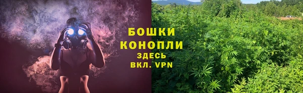 прущие грибы Долгопрудный