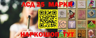 индика Гагарин