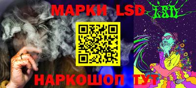 индика Гагарин