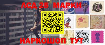 индика Гагарин