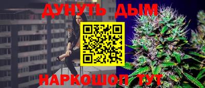 индика Гагарин
