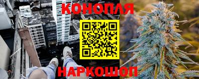 гидра Гай