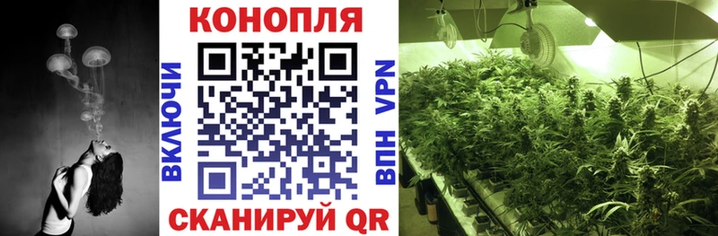 купить закладку  Гулькевичи  Шишки марихуана семена 